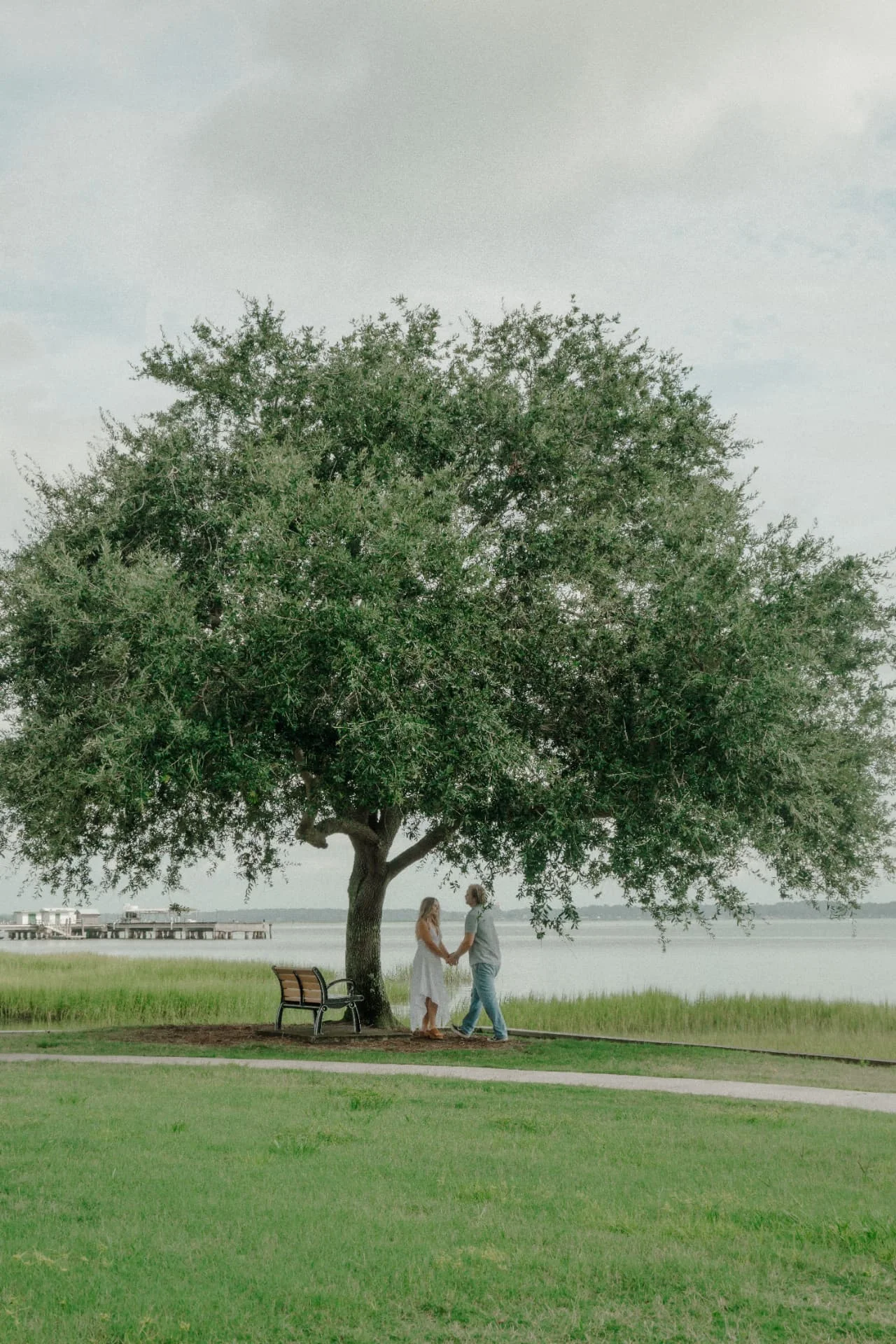 Engaged couple holding hands beneath a sprawling live oak tree beside the lake